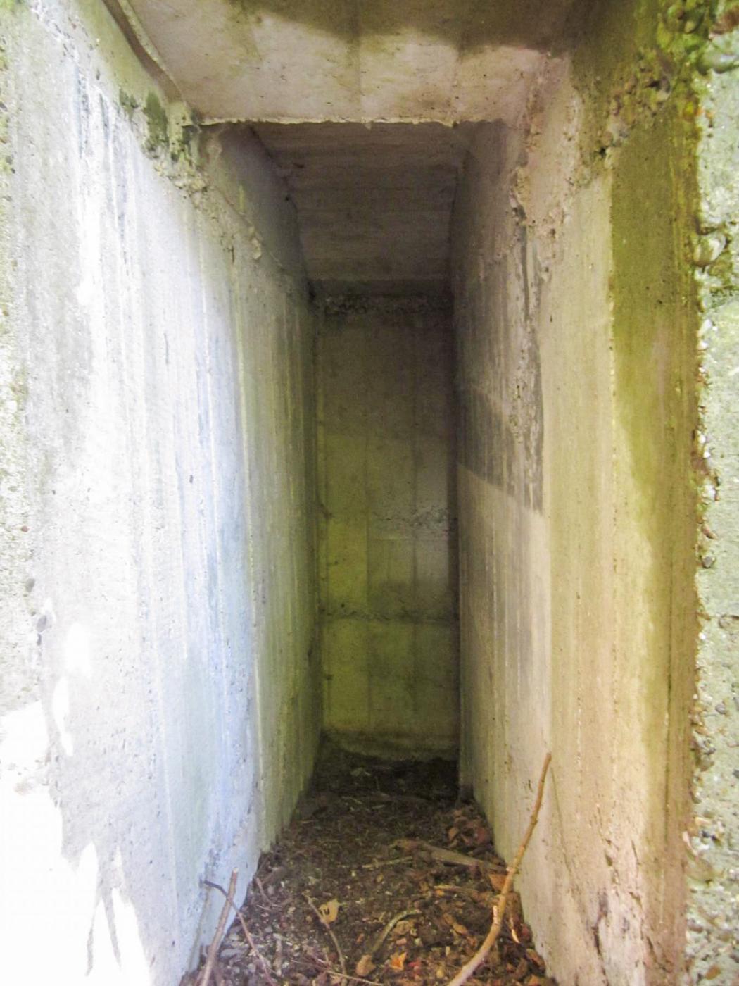 Ligne Maginot - ETANG GERIG 3 - (Abri) -  - G.Fuchs