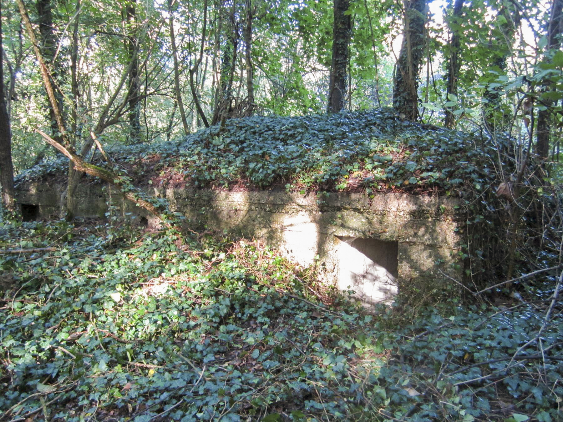 Ligne Maginot - ETANG GERIG 4 - (Abri) -  - G.Fuchs