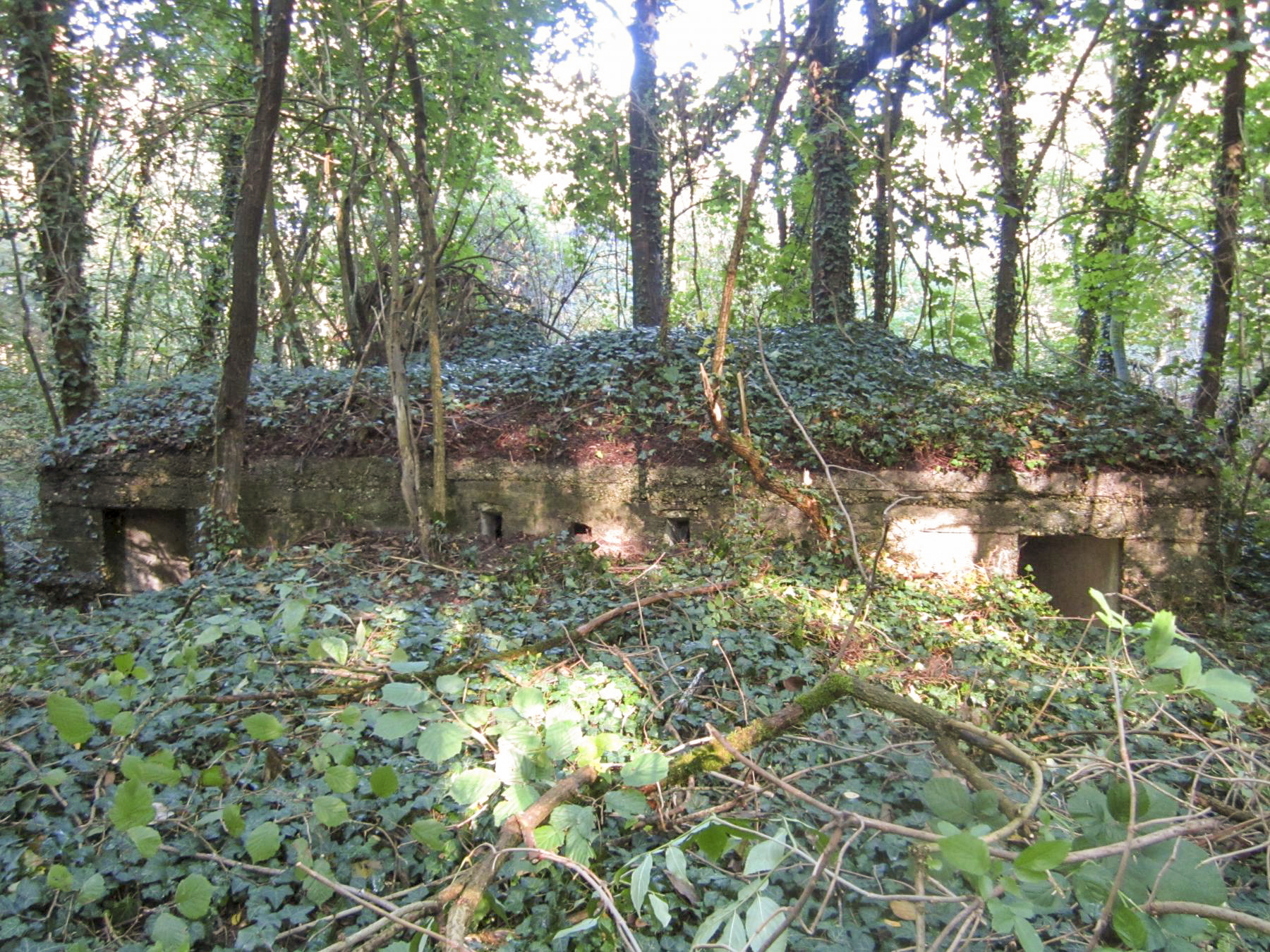 Ligne Maginot - ETANG GERIG 4 - (Abri) -  - G.Fuchs