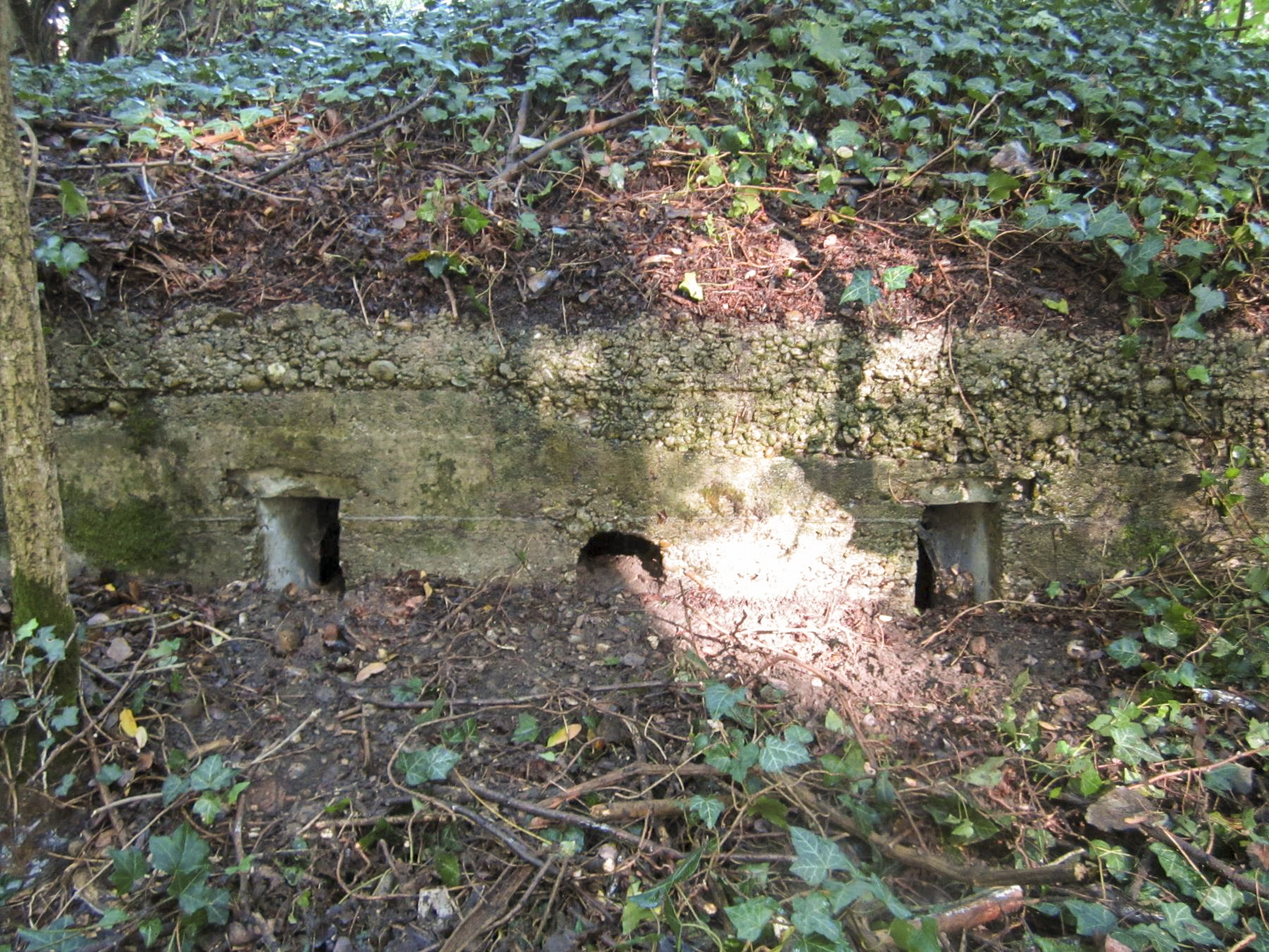Ligne Maginot - ETANG GERIG 4 - (Abri) -  - G.Fuchs