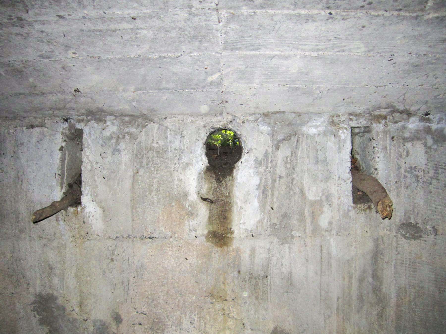 Ligne Maginot - ETANG GERIG 4 - (Abri) -  - G.Fuchs