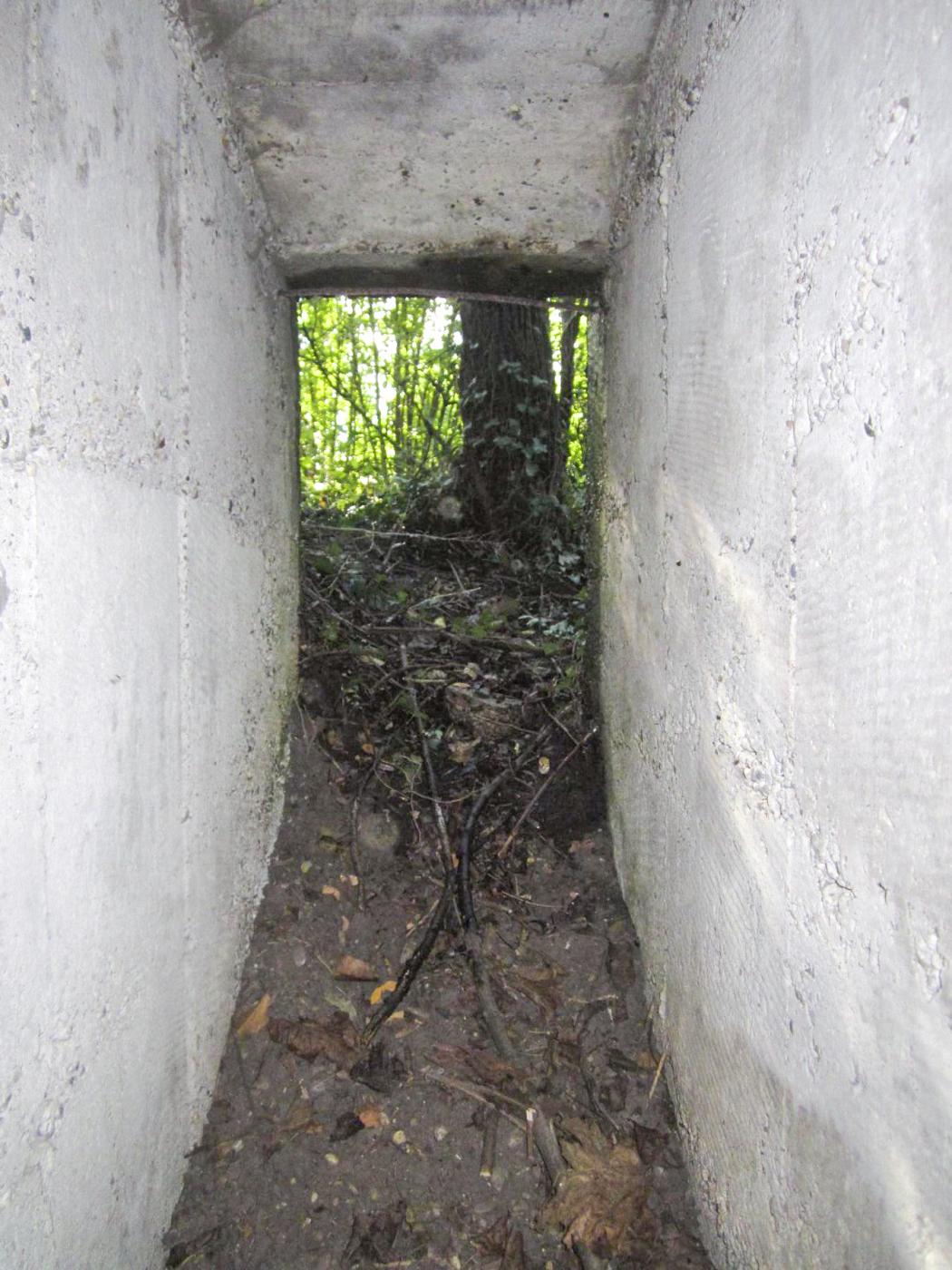 Ligne Maginot - ETANG GERIG 4 - (Abri) -  - G.Fuchs