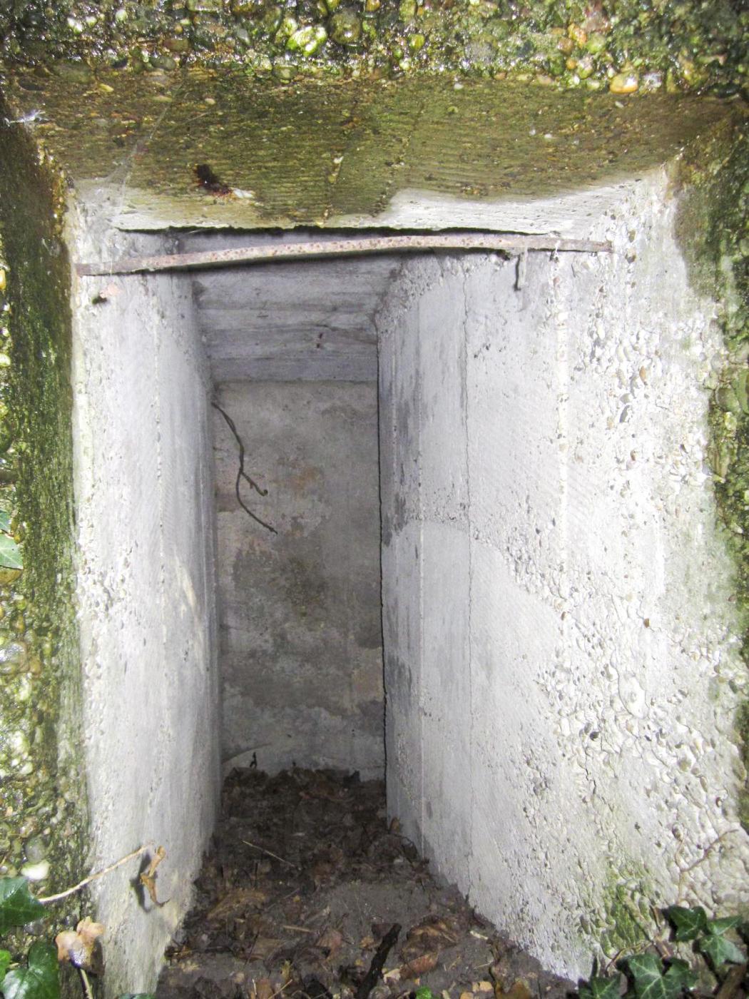 Ligne Maginot - ETANG GERIG 4 - (Abri) -  - G.Fuchs