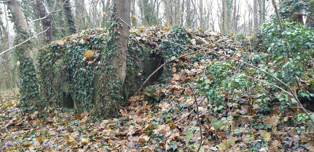 Ligne Maginot - FORT FOCH GLACIS - (Blockhaus pour arme infanterie) - L'entrée merlonnée - Gregory Fuchs
