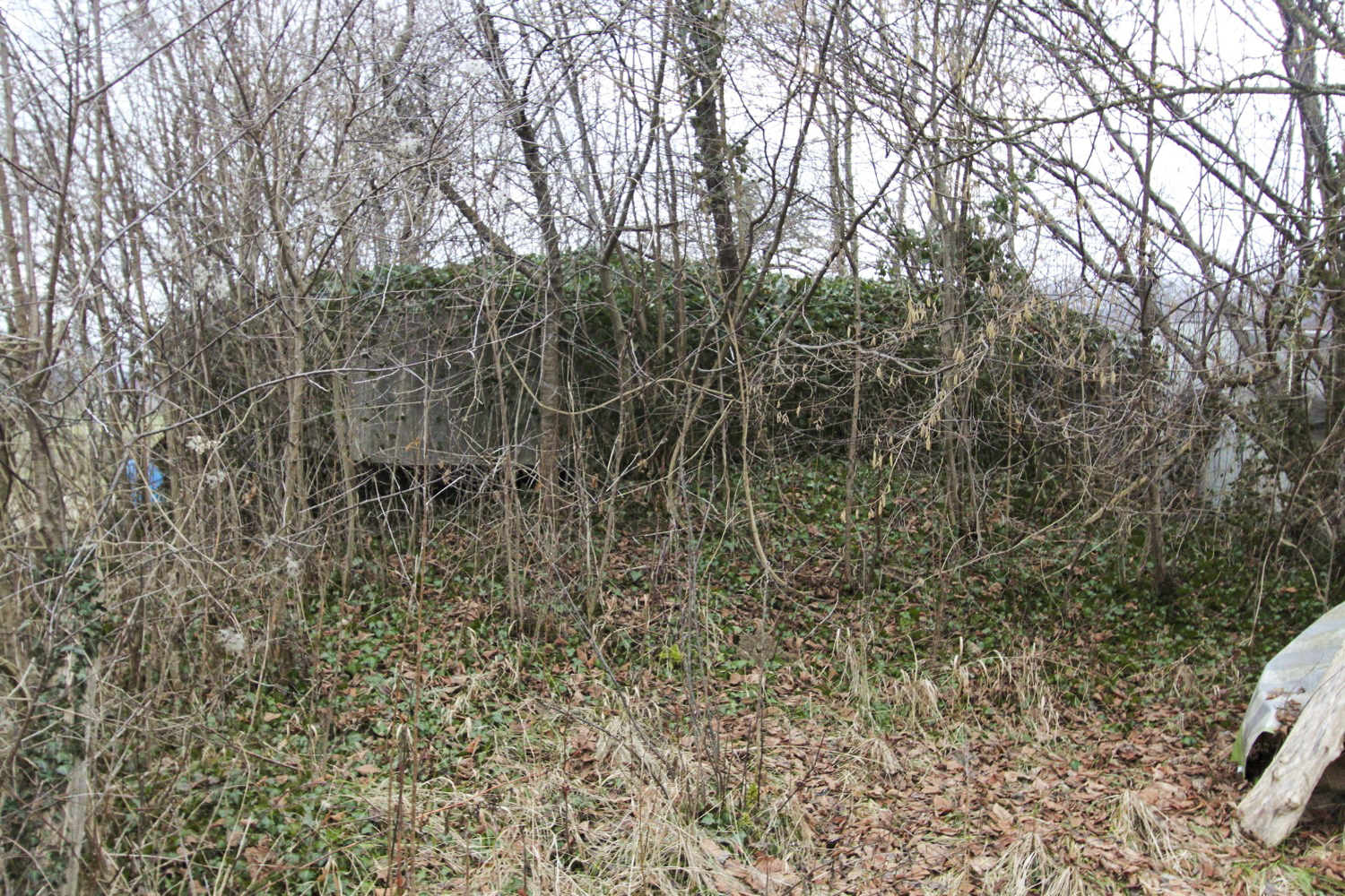 Ligne Maginot - WIDSAL NORD - (Blockhaus pour arme infanterie) -  - A. SCHOEN
