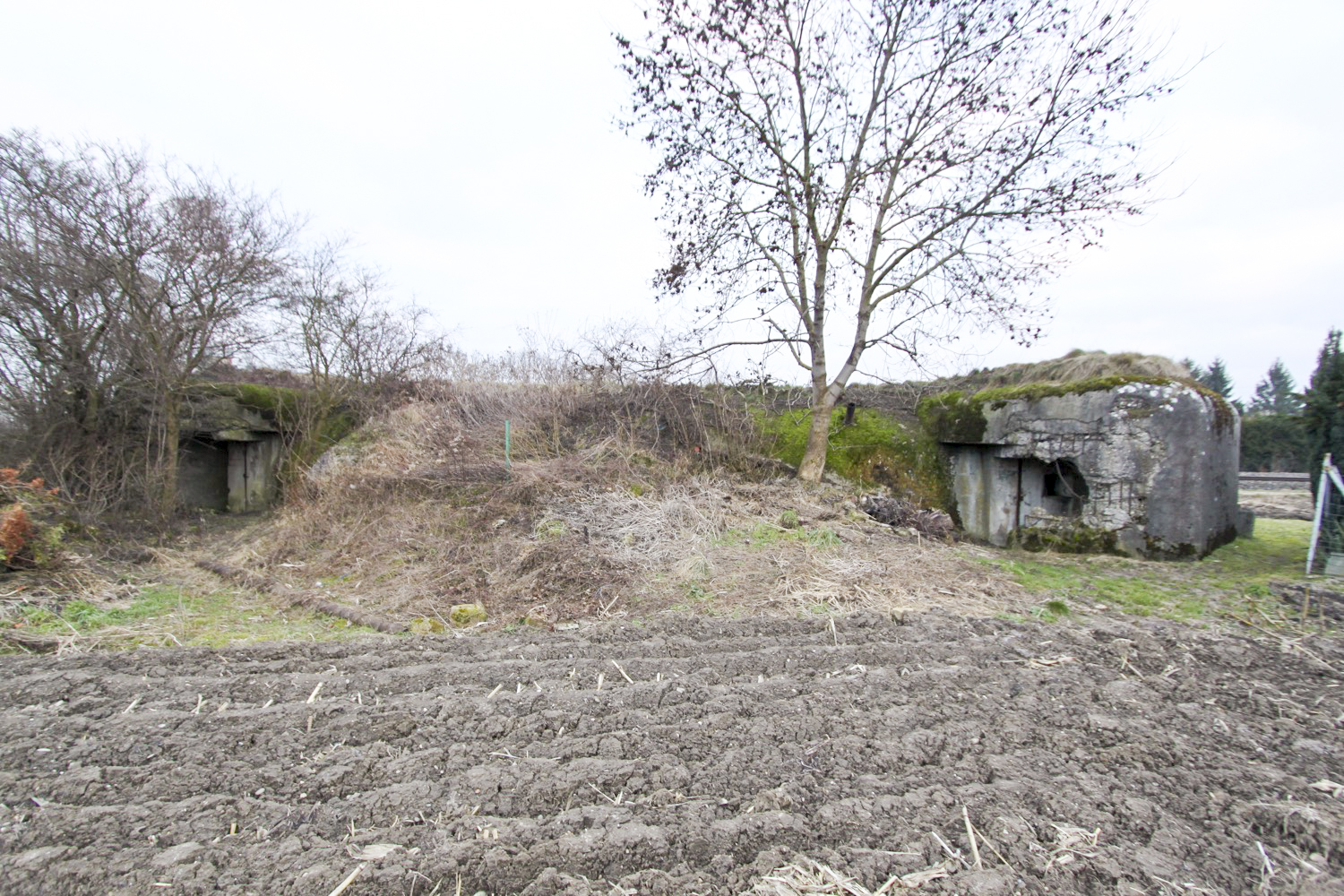Ligne Maginot - PONT DE GAMBSHEIM - (2CEO -10CEC - 70° RIF) - (PC de Quartier) -  - A. SCHOEN