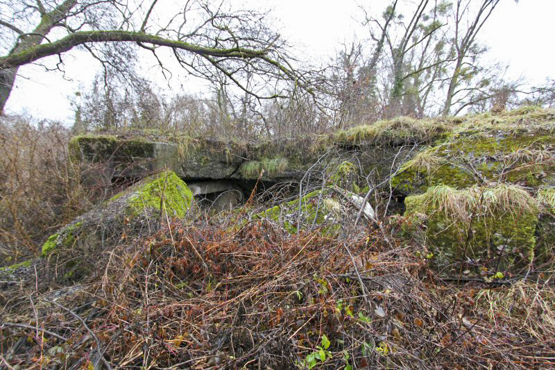 Ligne Maginot - POINT 126 - (PC de Sous-Quartier) - La partie nord de la chambre qui comportait une des entrées - Les Gardiens du Rhin