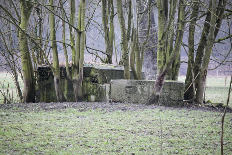 Ligne Maginot - Blockhaus  du GROSSBELTZWOERTH Est -  - Les Gardiens du Rhin