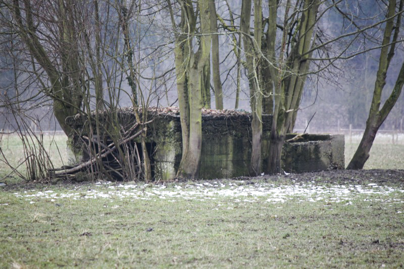 Ligne Maginot - Blockhaus  du GROSSBELTZWOERTH Est -  - Les Gardiens du Rhin