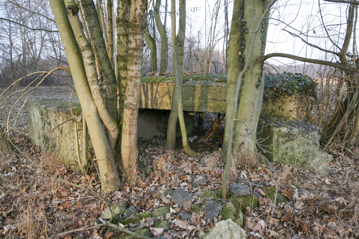 Ligne Maginot - Blockhaus  du GROSSBELTZWOERTH Est - Vue arrière - Alain Perouffe