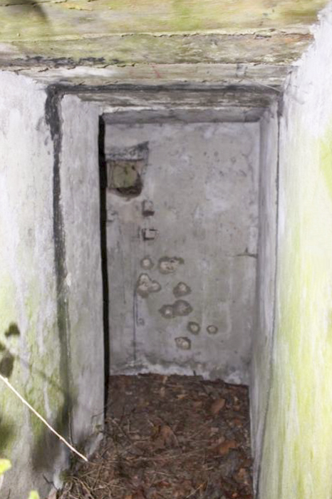 Ligne Maginot - GROSSBELTZWOERTH OUEST - (Blockhaus pour arme infanterie) -  - Les Gardiens du Rhin