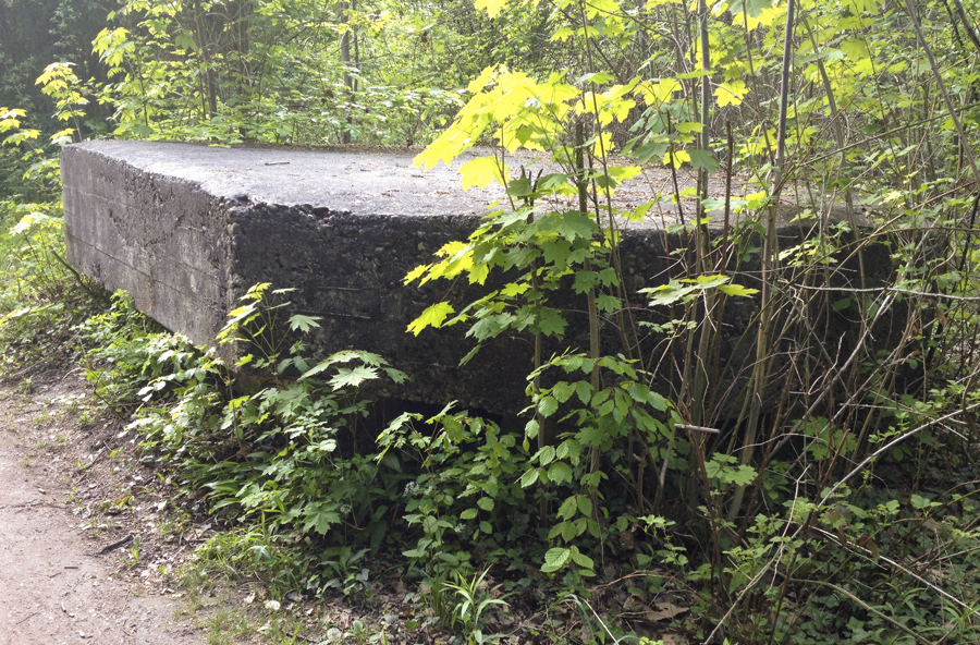 Ligne Maginot - GROSSBELTZWOERTH OUEST - (Blockhaus pour arme infanterie) -  - Pascal LAMBERT