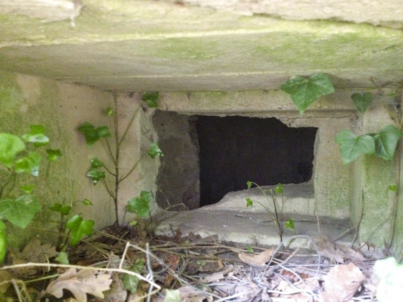Ligne Maginot - GROSSBELTZWOERTH OUEST - (Blockhaus pour arme infanterie) - L'un des créneaux - Pascal LAMBERT
