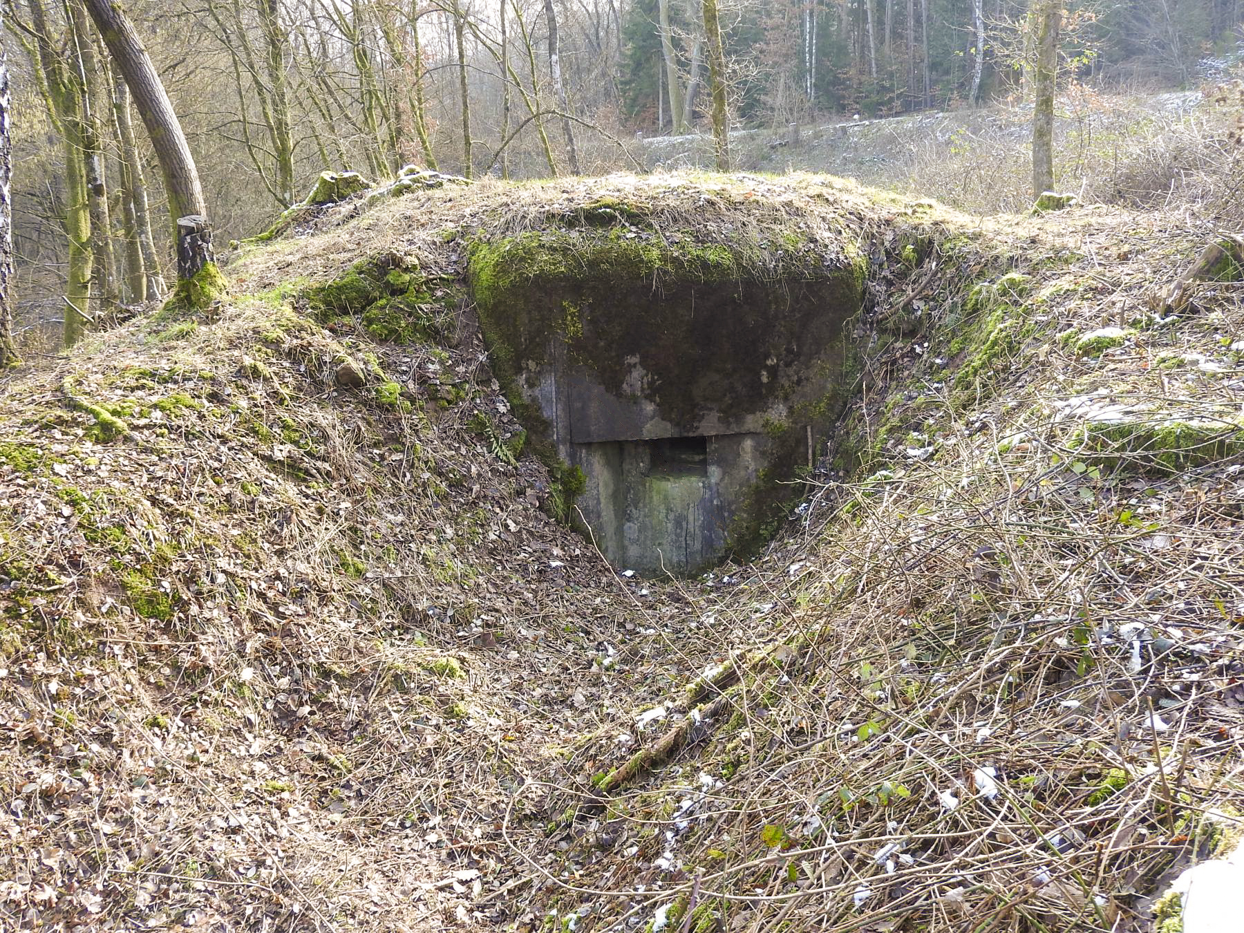 Ligne Maginot - LANGENACKER OUEST - (Blockhaus pour arme infanterie) - Le créneaux de tir vers l'ouest - STENGER Mathieu