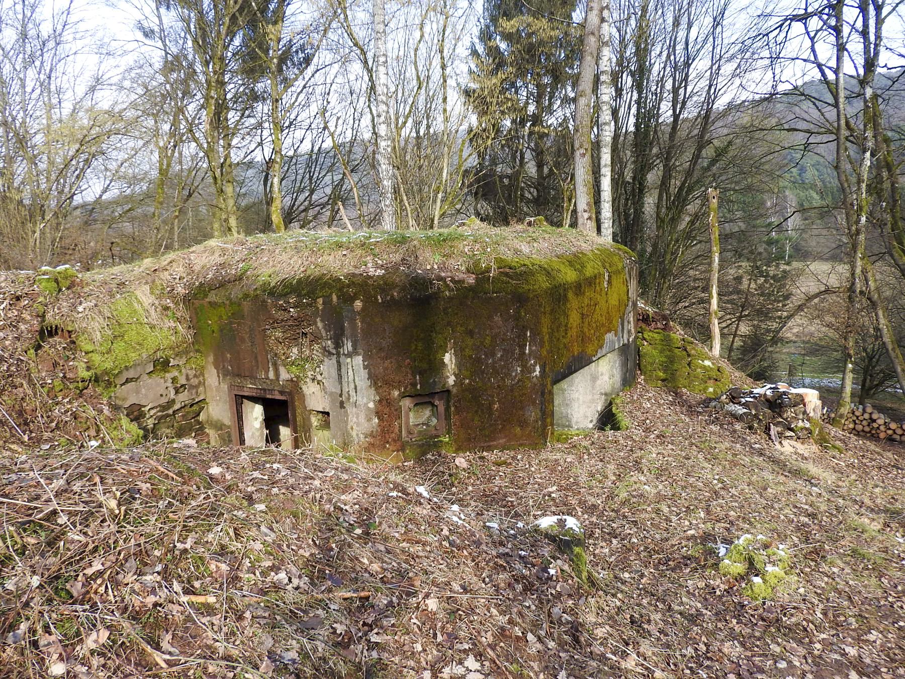 Ligne Maginot - LANGENACKER OUEST - (Blockhaus pour arme infanterie) - La façade arrière et l'entrée du blockhaus - STENGER Mathieu