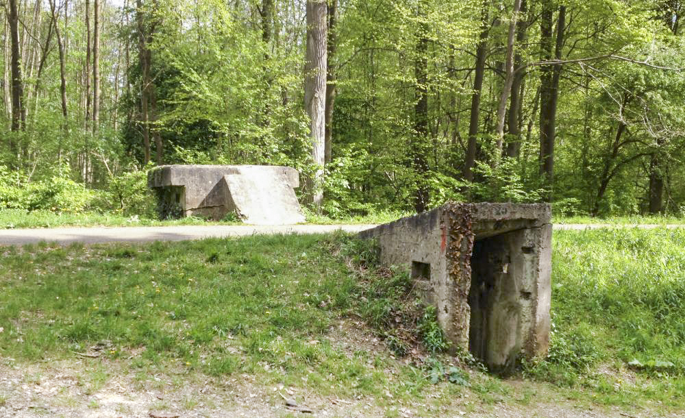 Ligne Maginot - HAUTE DIGUE 4 - (Blockhaus pour arme infanterie) -  - Pascal LAMBERT
