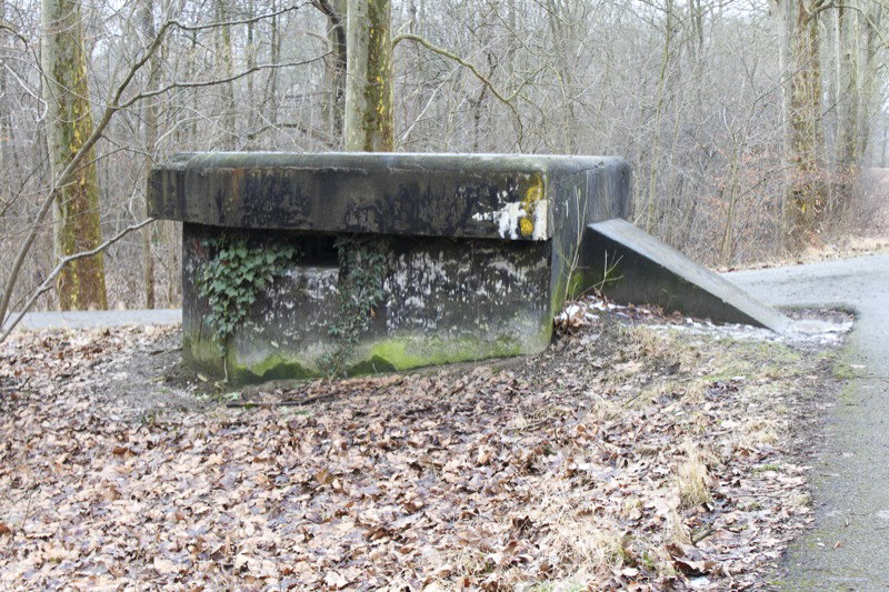 Ligne Maginot - HAUTE DIGUE 3 - (Blockhaus pour arme infanterie) - Vue générale - Les Gardiens du Rhin