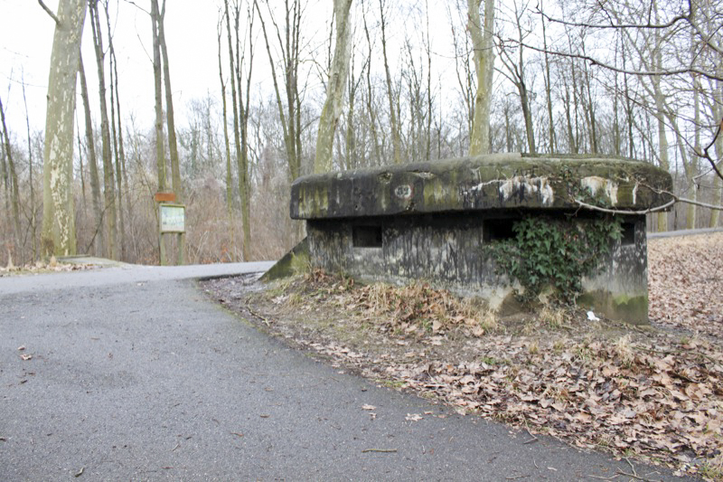 Ligne Maginot - HAUTE DIGUE 3 - (Blockhaus pour arme infanterie) - Vue générale - Les Gardiens du Rhin