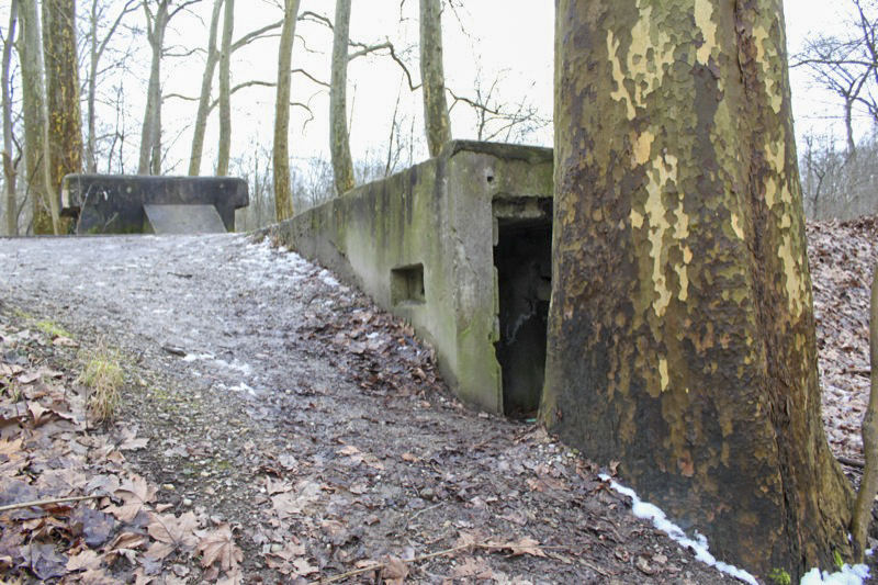 Ligne Maginot - HAUTE DIGUE 3 - (Blockhaus pour arme infanterie) - Vue générale - Les Gardiens du Rhin