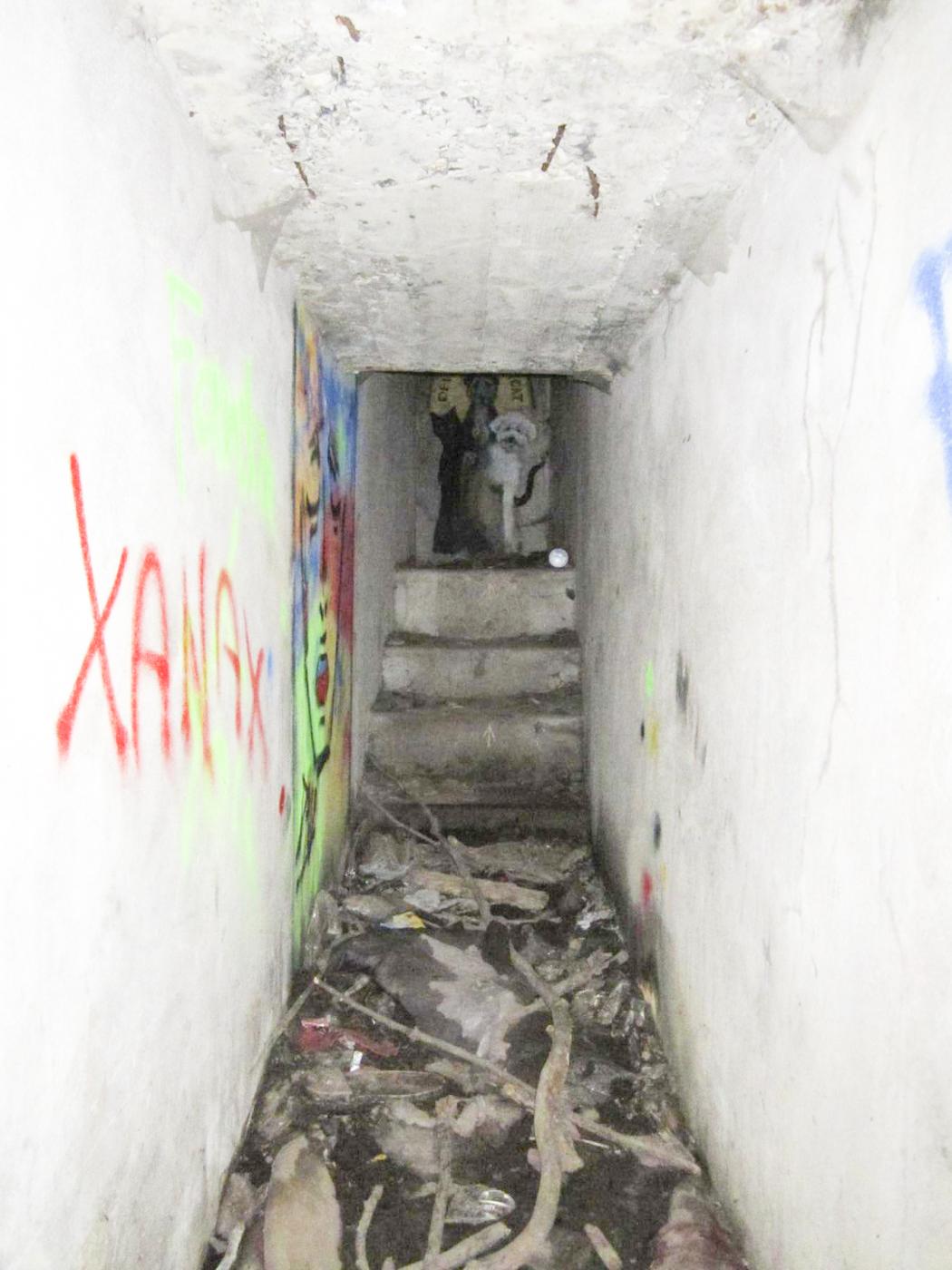Ligne Maginot - HAUTE DIGUE 3 - (Blockhaus pour arme infanterie) - Accès à la chambre de tir, à l'extrémité de la galerie - G.Fuchs