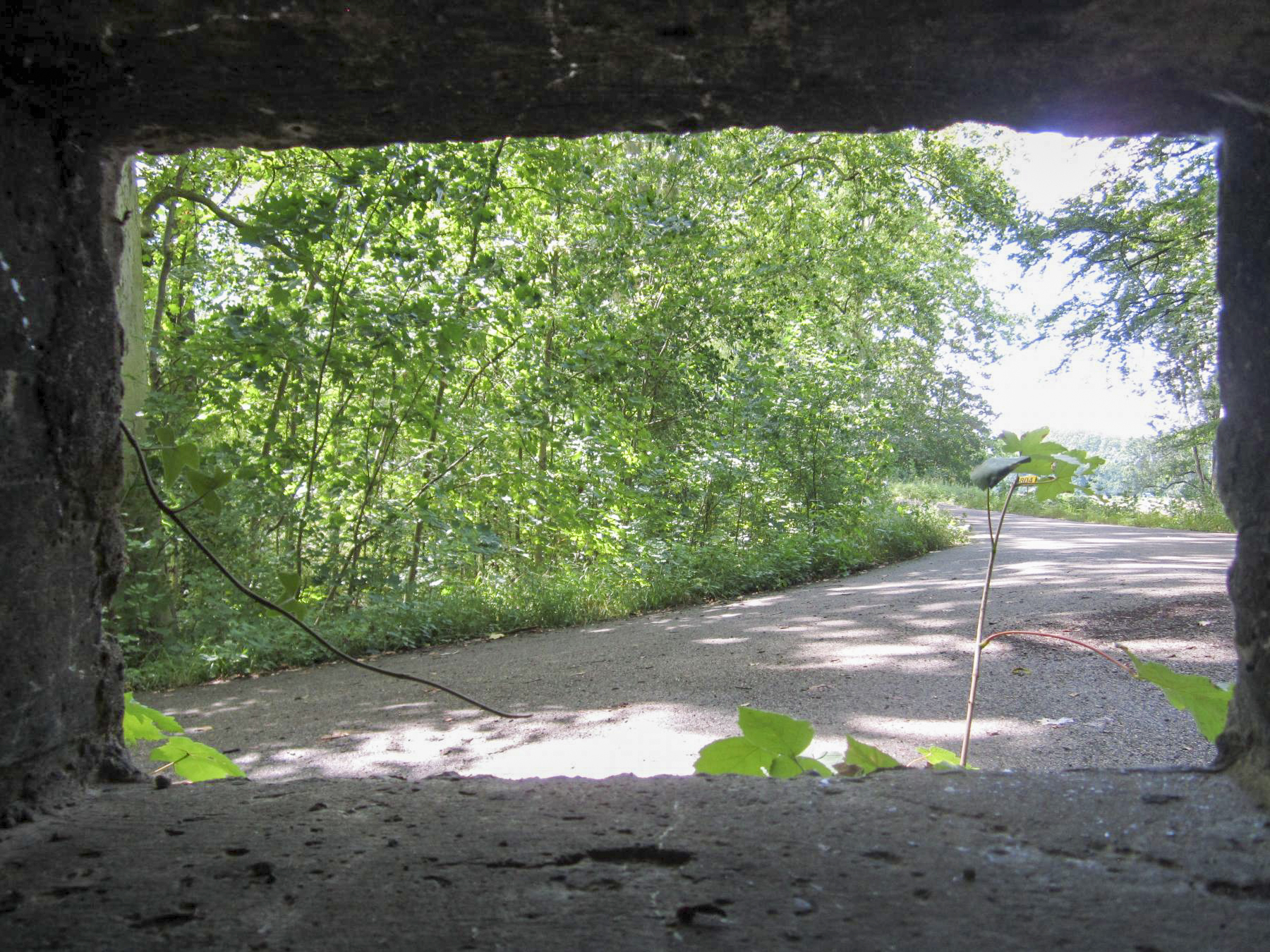 Ligne Maginot - HAUTE DIGUE 3 - (Blockhaus pour arme infanterie) - Vue depuis le créneau latéral droit (flanquement de la digue) - G.Fuchs