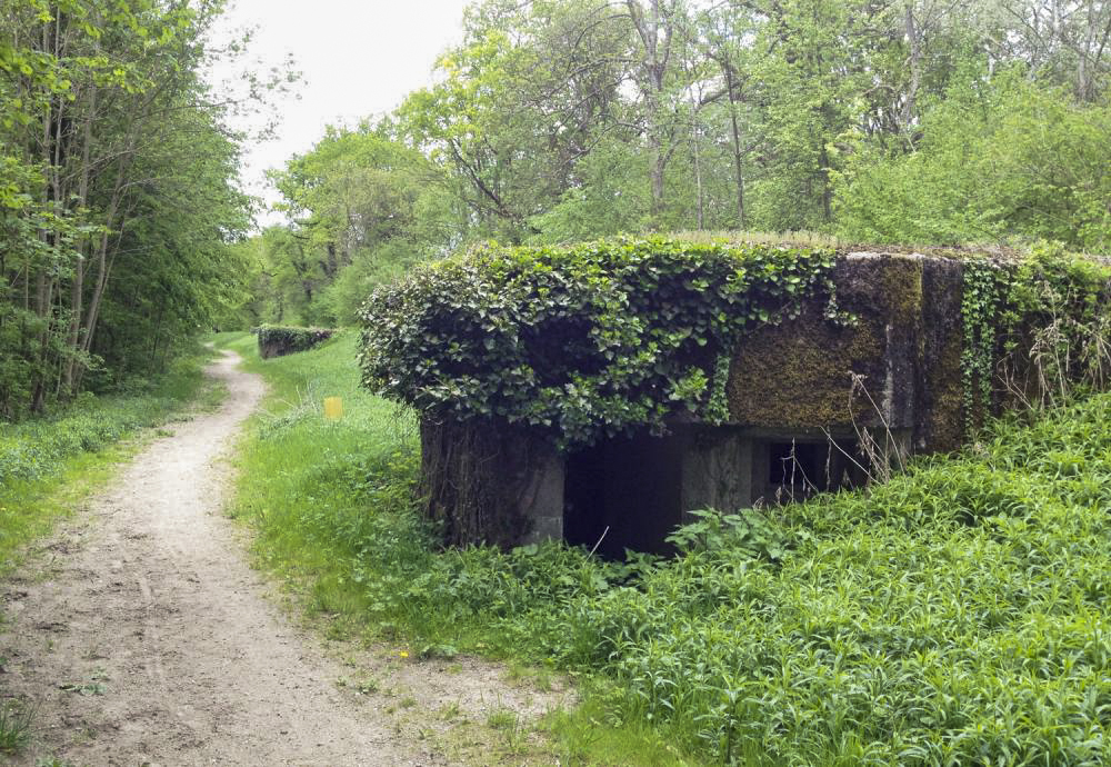 Ligne Maginot - HAUTE DIGUE 8 - (Blockhaus pour arme infanterie) - L'entrée est visible sur la photo avec le créneau sud.
L'entrée du bloc 9 est visible à l'arrière plan - Pascal LAMBERT