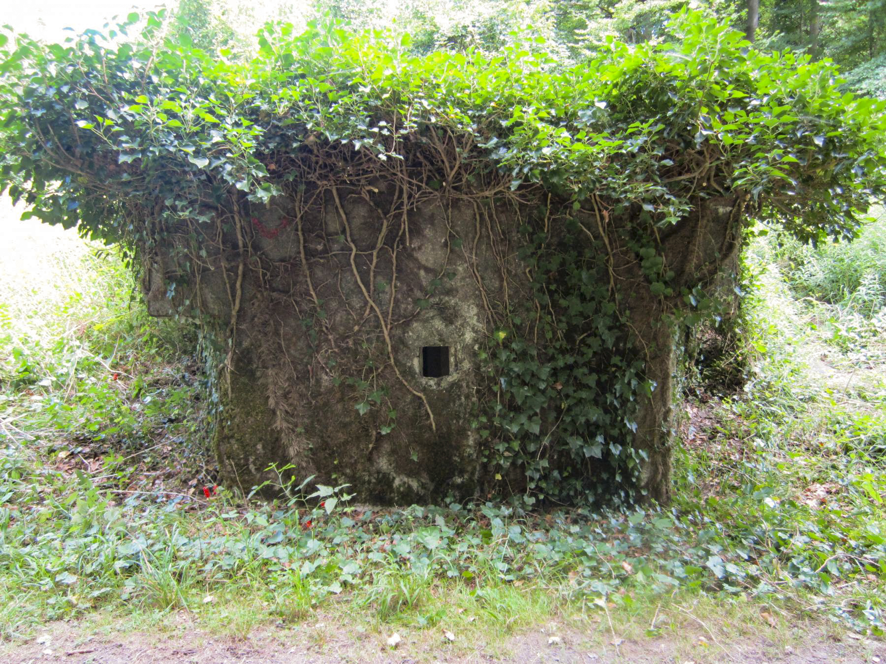 Ligne Maginot - HAUTE DIGUE 8 - (Blockhaus pour arme infanterie) - Créneau frontal de défense rapprochée - G.Fuchs