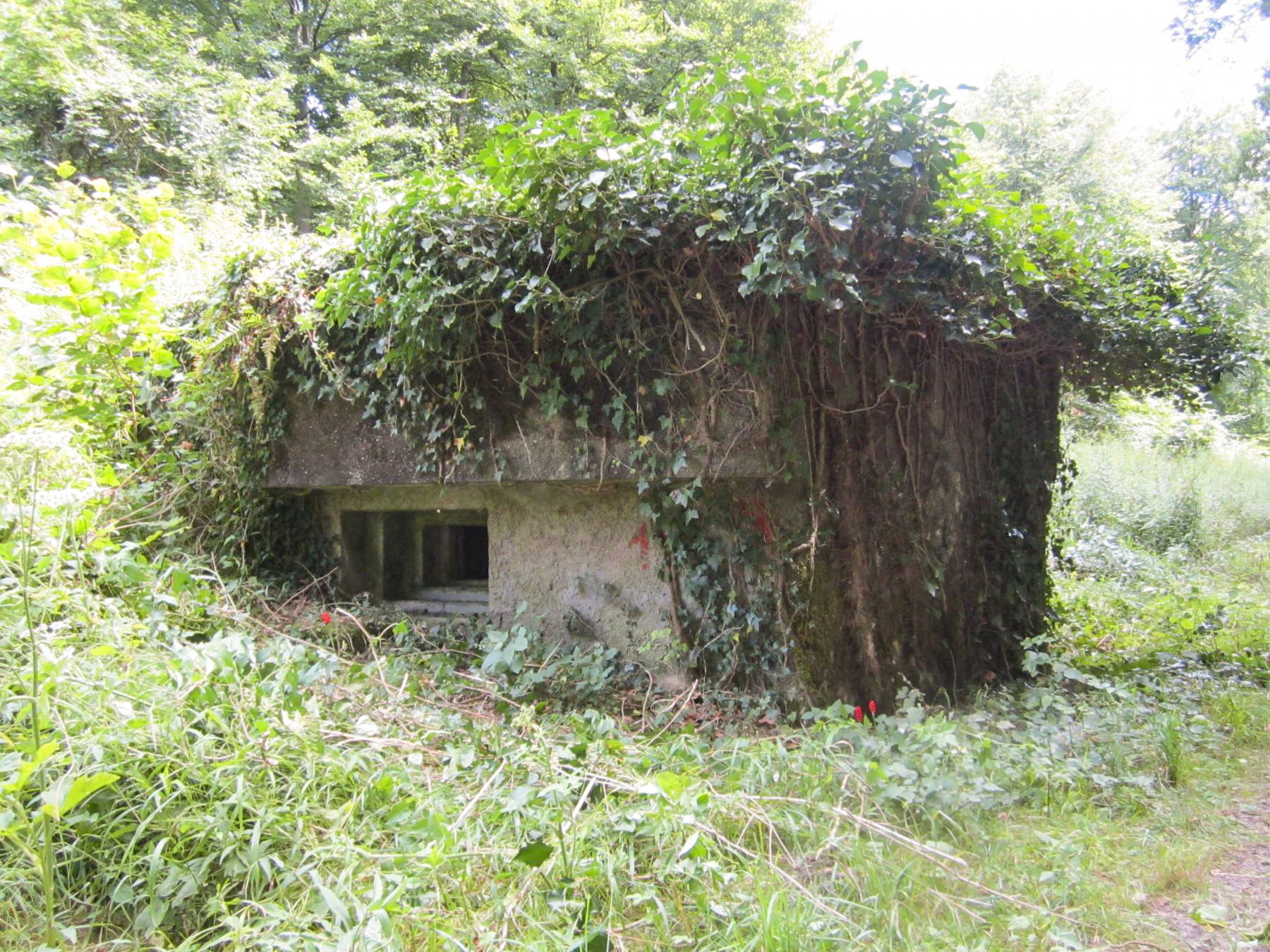 Ligne Maginot - HAUTE DIGUE 8 - (Blockhaus pour arme infanterie) - Créneau mitrailleuse gauche (nord) - G.Fuchs