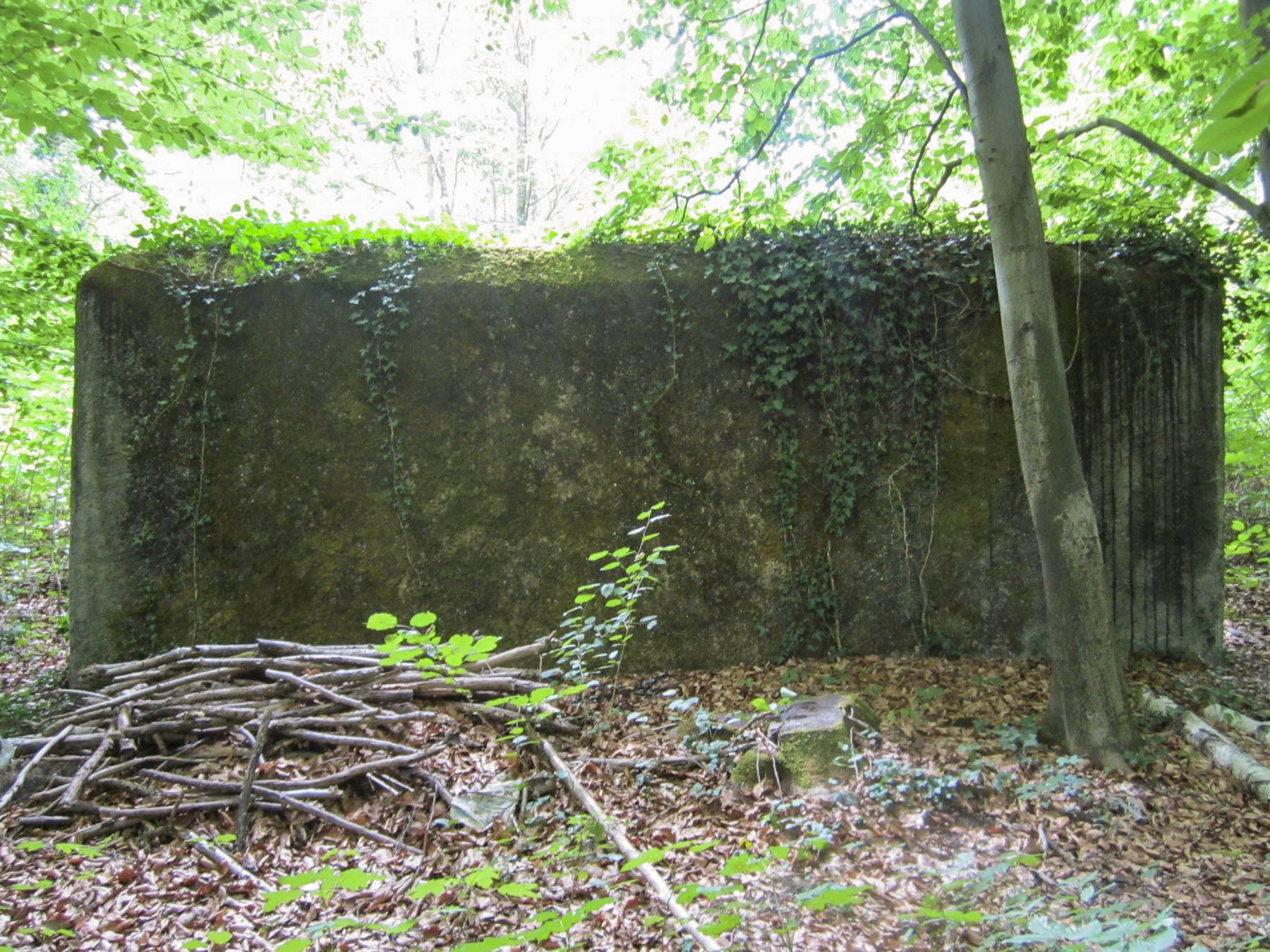 Ligne Maginot - HAUTE DIGUE 7 - (Blockhaus pour arme infanterie) - Façade frontale - G.Fuchs