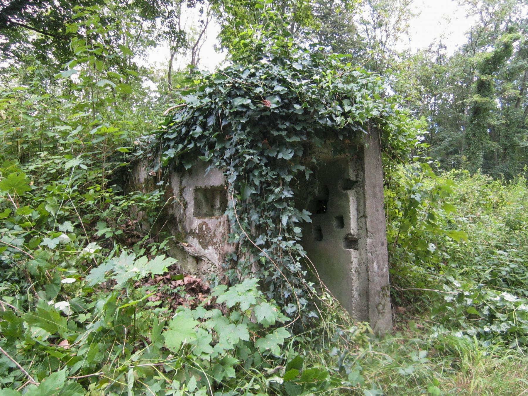 Ligne Maginot - HAUTE DIGUE 6 - (Blockhaus pour arme infanterie) - L'entrée de l'autre coté de la digue - G.Fuchs