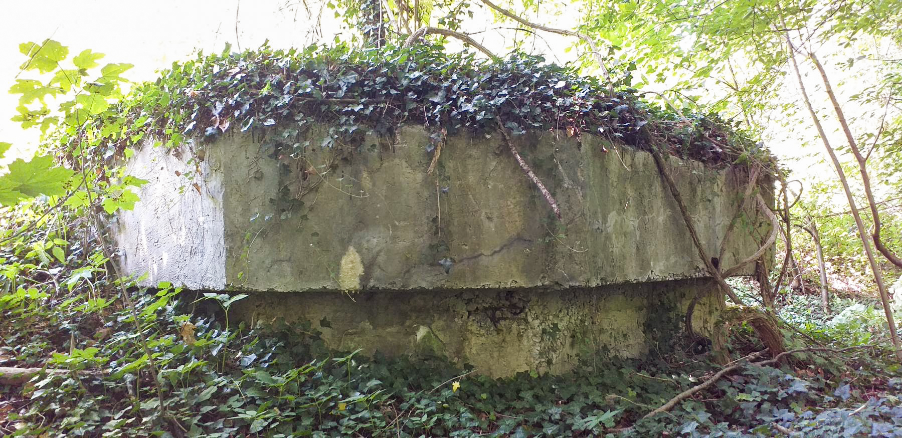 Ligne Maginot - HAUTE DIGUE 11 - (Blockhaus pour arme infanterie) -  - G.Fuchs