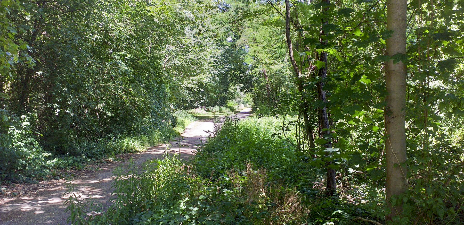 Ligne Maginot - HAUTE DIGUE 10 - (Blockhaus pour arme infanterie) - Direction du créneau central (chemin des 13 peupliers) - G.Fuchs