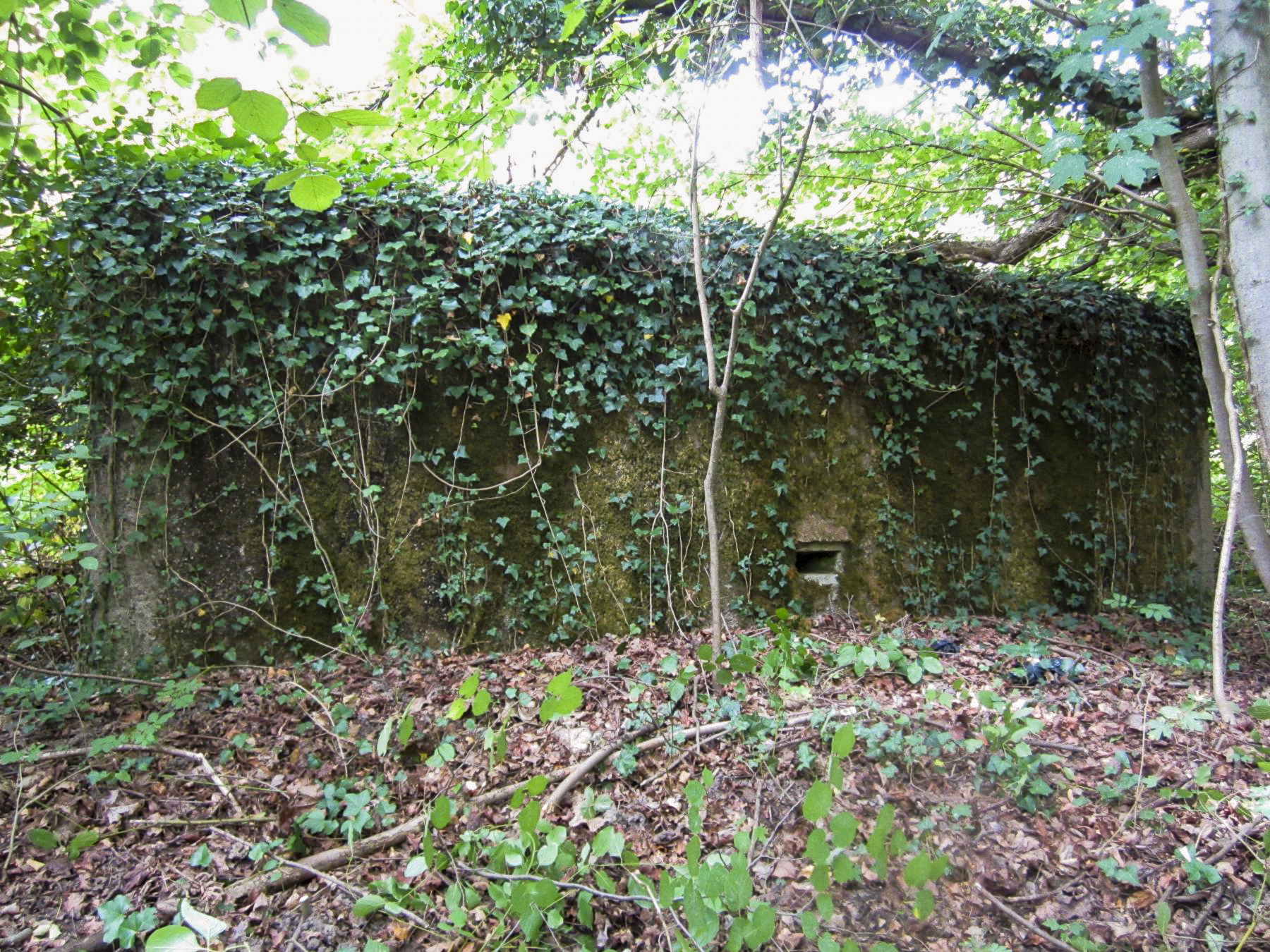 Ligne Maginot - HAUTE DIGUE 9 - (Blockhaus pour arme infanterie) - Façade frontale et créneau de défense rapprochée - G.Fuchs