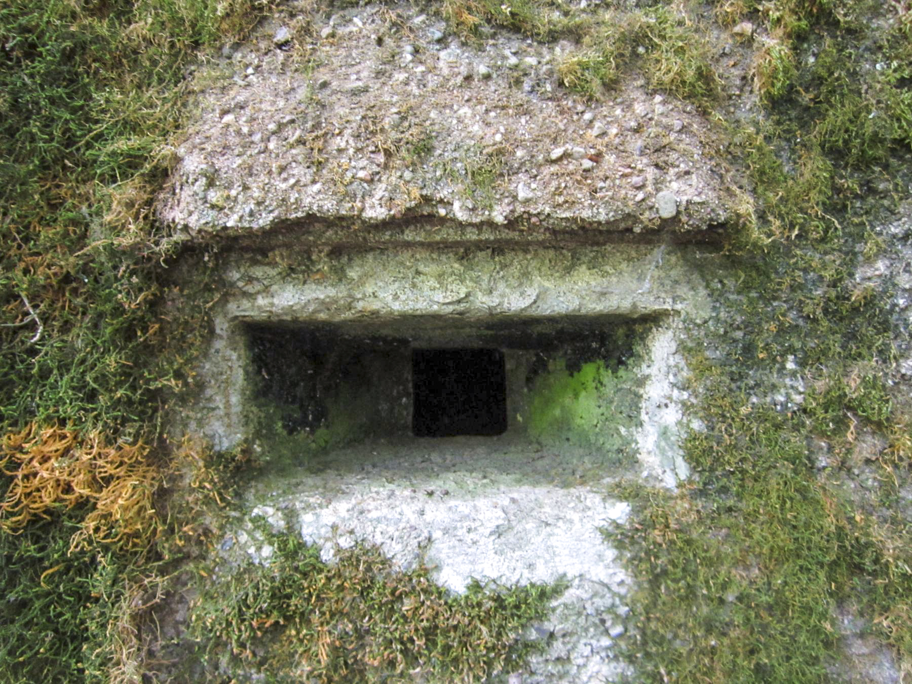 Ligne Maginot - HAUTE DIGUE 9 - (Blockhaus pour arme infanterie) - Créneau de défense rapprochée - G.Fuchs