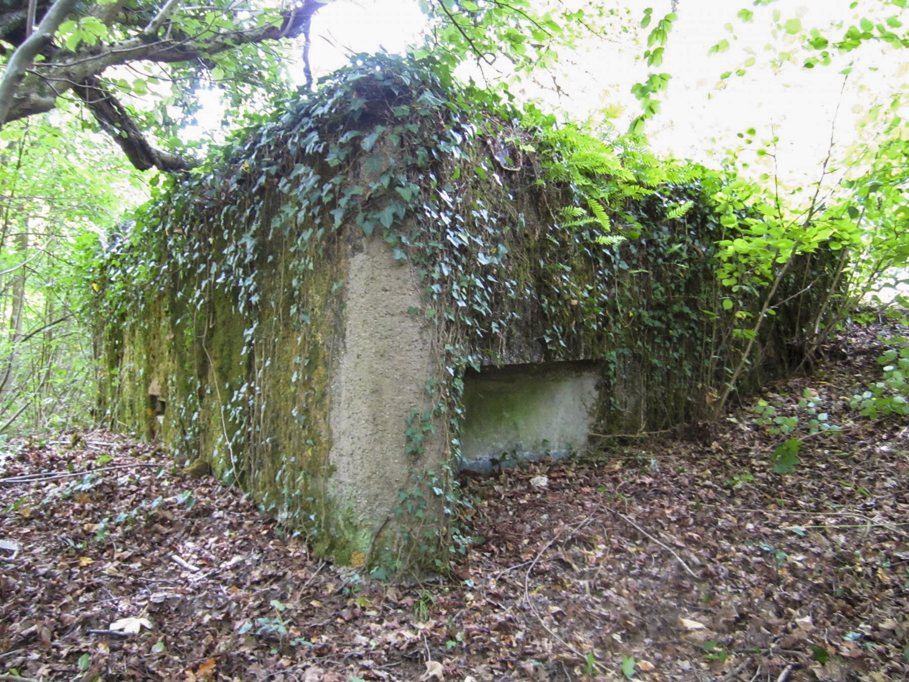 Ligne Maginot - HAUTE DIGUE 9 - (Blockhaus pour arme infanterie) - Créneau mitrailleuse gauche (nord) - G.Fuchs