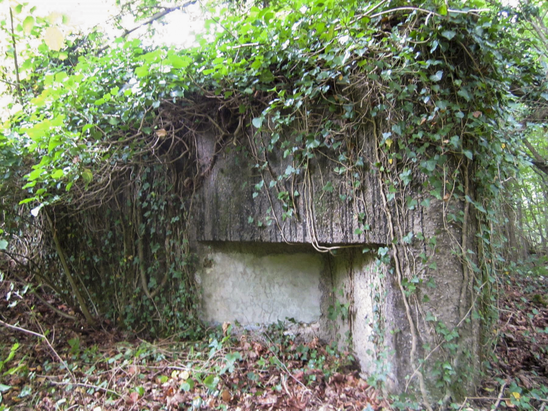Ligne Maginot - HAUTE DIGUE 9 - (Blockhaus pour arme infanterie) - Créneau mitrailleuse droit (sud) - G.Fuchs