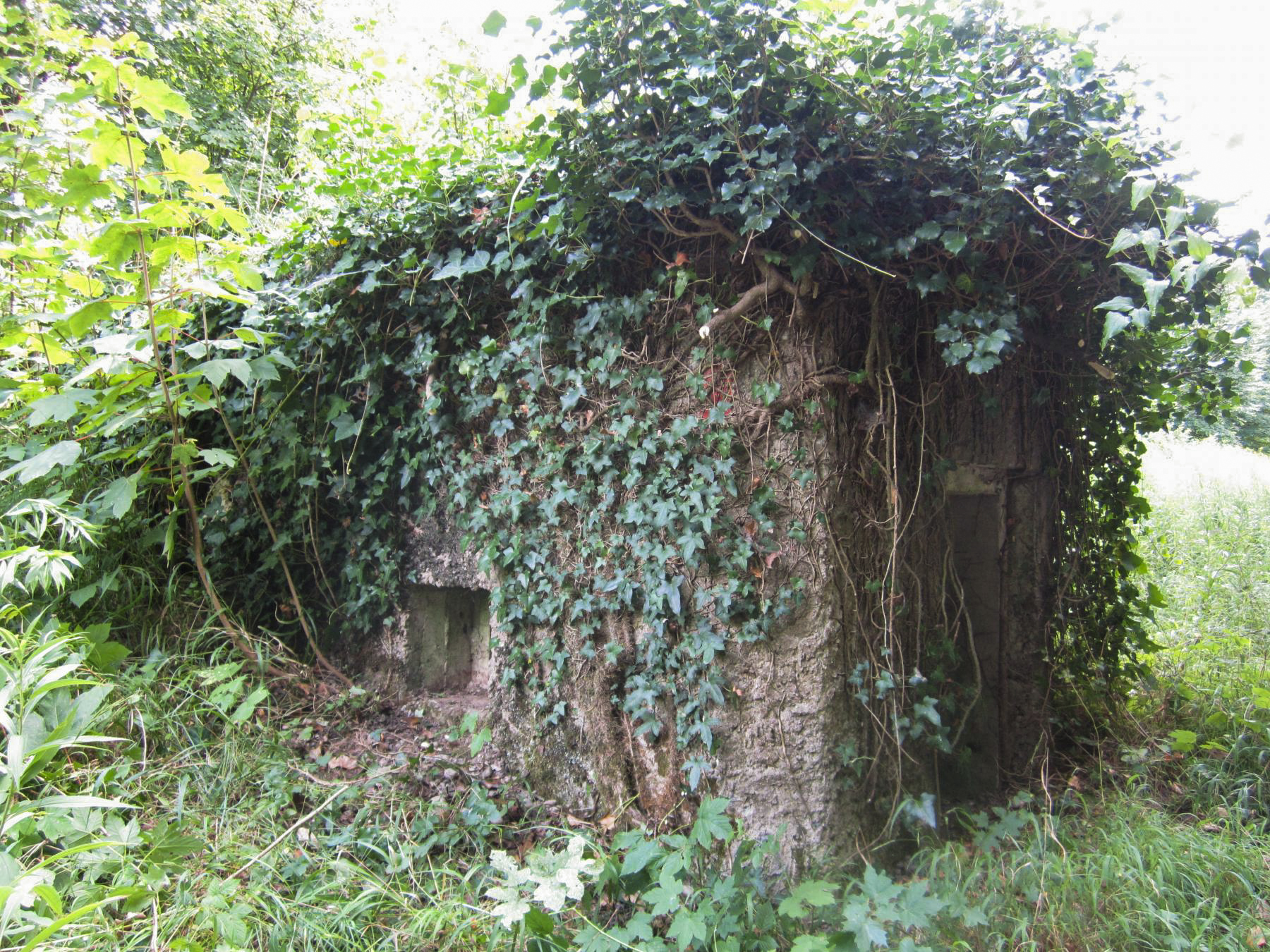 Ligne Maginot - HAUTE DIGUE 9 - (Blockhaus pour arme infanterie) - Entrée et créneau de défense rapprochée - G.Fuchs