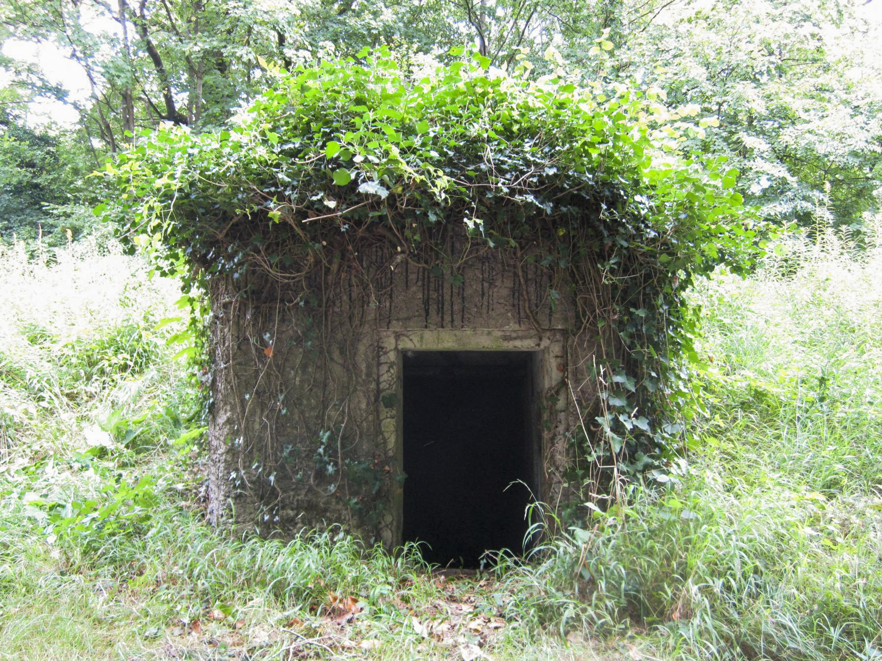 Ligne Maginot - HAUTE DIGUE 9 - (Blockhaus pour arme infanterie) - L'entrée, de l'autre coté de la digue - G.Fuchs