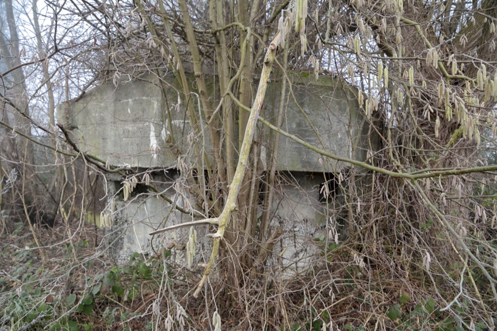Ligne Maginot - KUEHNAU 1 - (Blockhaus pour arme infanterie) -  - Les Gardiens du Rhin