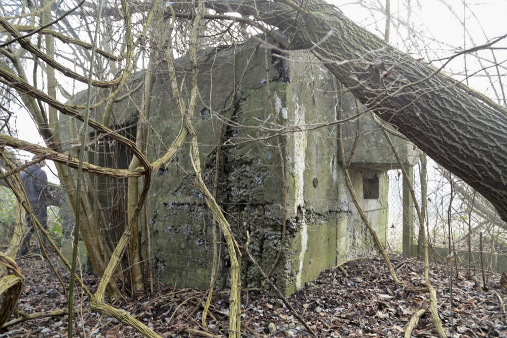 Ligne Maginot - KUEHNAU 1 - (Blockhaus pour arme infanterie) -  - Les Gardiens du Rhin