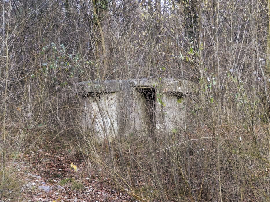 Ligne Maginot - LAMENDSAND EST - (Blockhaus pour arme infanterie) - Vue sur l'entrée - Lionnel SPERANDIO