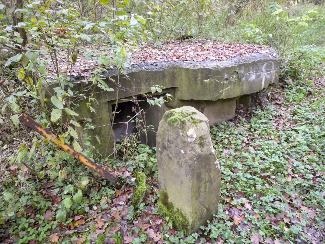 Ligne Maginot - LEUTESHEIM 1 - (Blockhaus pour arme infanterie) -  - Alain Perouffe