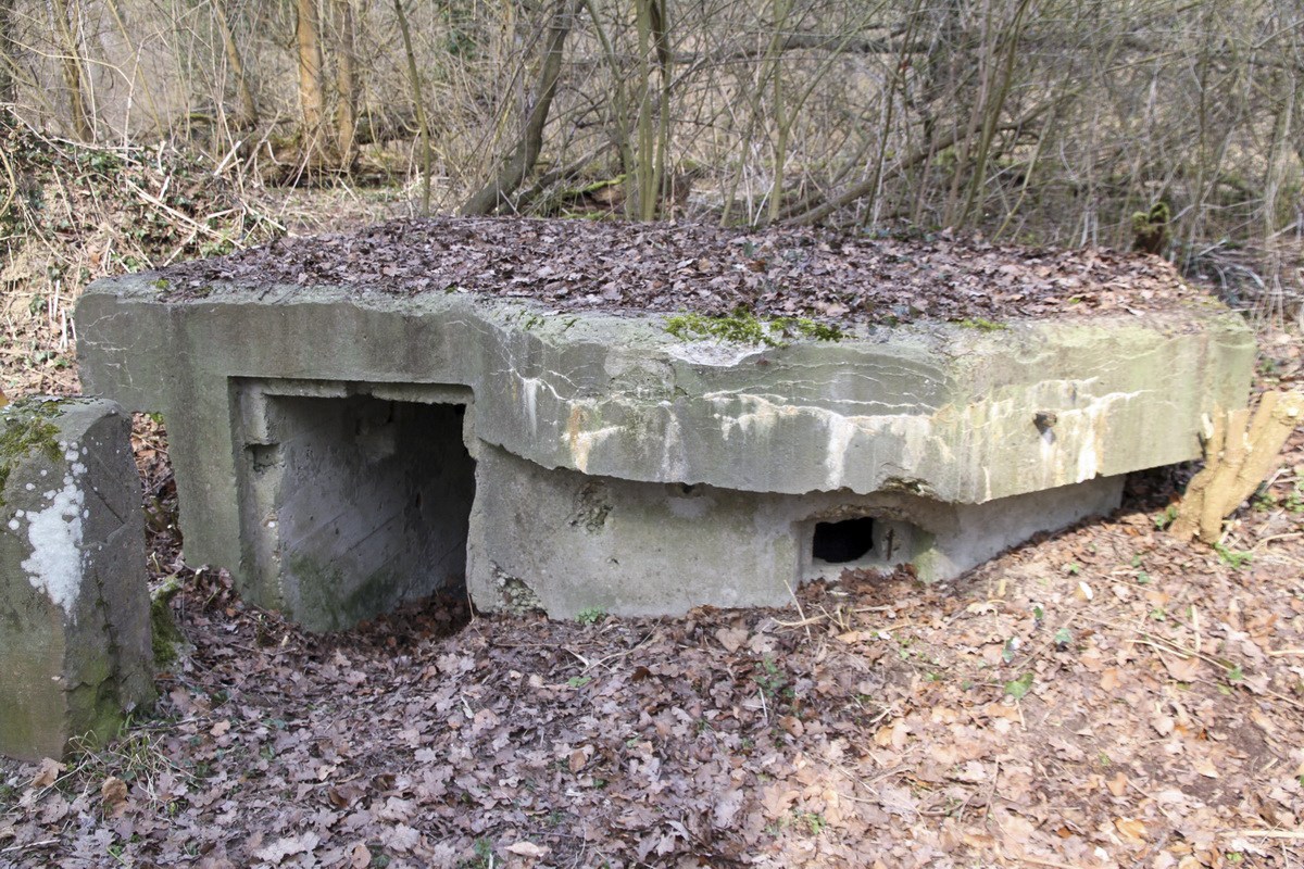 Ligne Maginot - LEUTESHEIM 1 - (Blockhaus pour arme infanterie) -  - Alain Perouffe