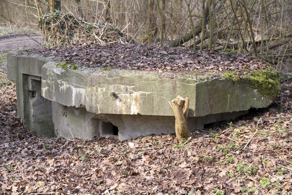 Ligne Maginot - LEUTESHEIM 1 - (Blockhaus pour arme infanterie) -  - Alain Perouffe