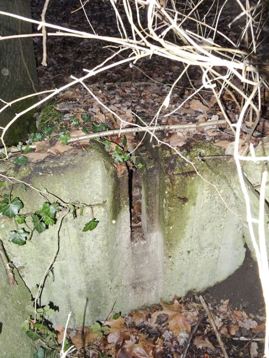 Ligne Maginot - PORT DU RHIN SUD 32BIS - (Blockhaus de type indéterminé) - Le second créneau visible, curieusement placé en coin - Lionnel SPERANDIO