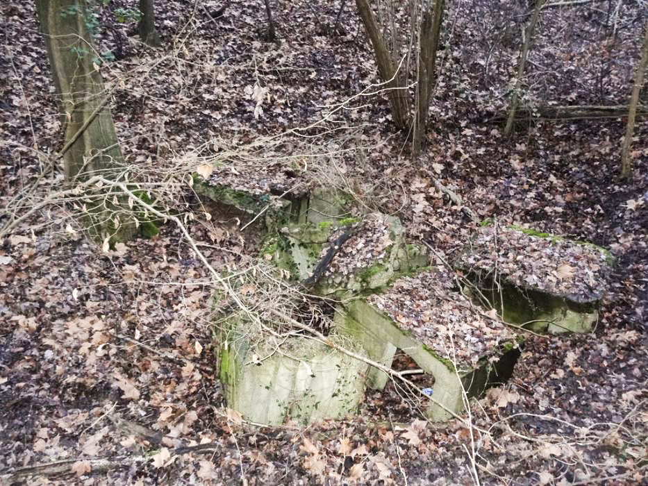 Ligne Maginot - PORT DU RHIN SUD 32BIS - (Blockhaus de type indéterminé) - Restes du bloc - Lionnel SPERANDIO