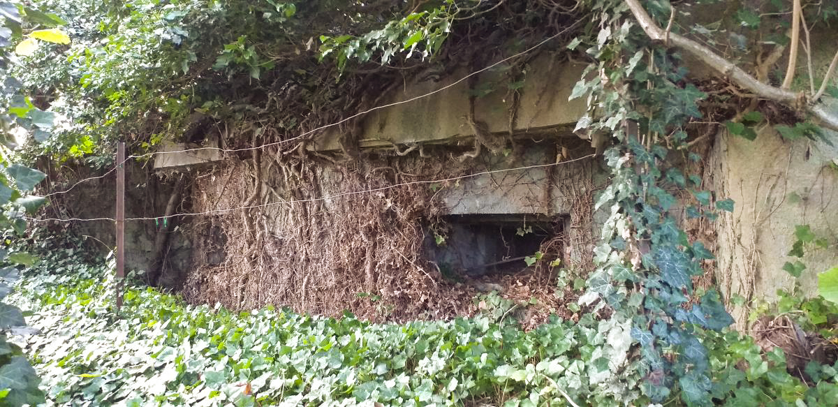 Ligne Maginot - M26 - (Blockhaus pour arme infanterie) - Créneaux chambre de tir - Gregory Fuchs