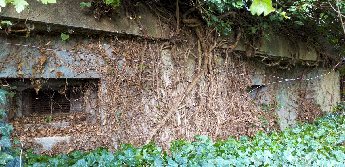 Ligne Maginot - M26 - (Blockhaus pour arme infanterie) - Créneaux chambre de tir - Gregory Fuchs