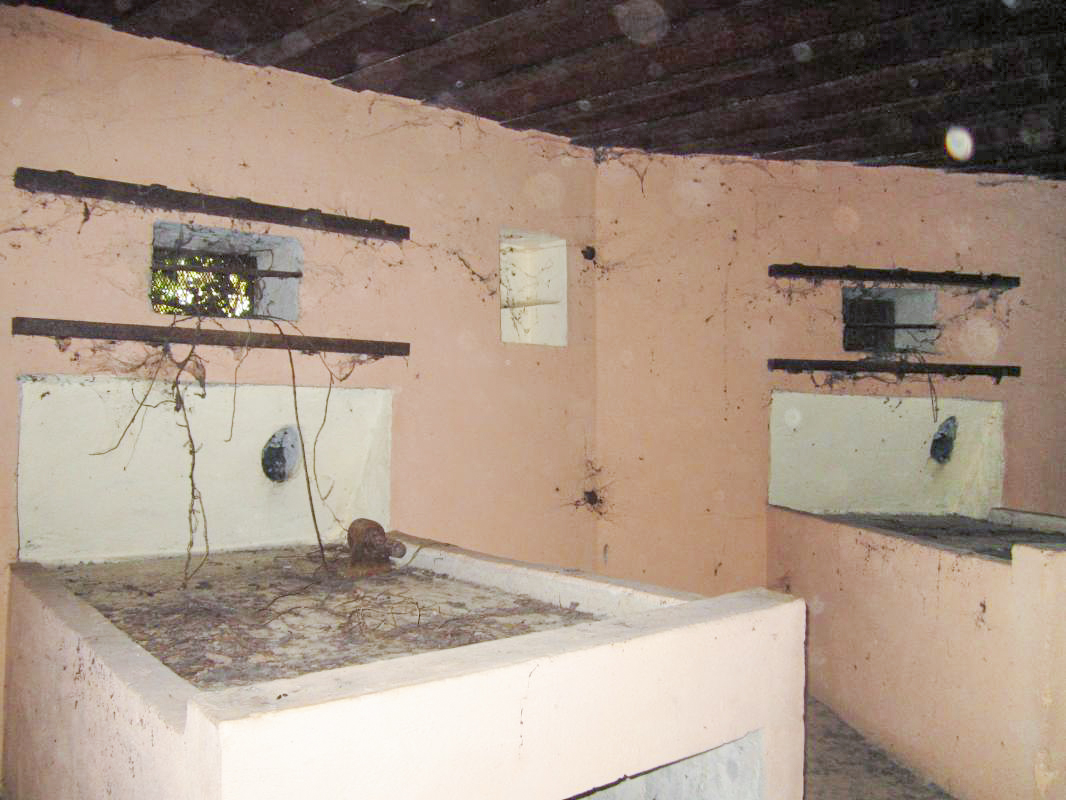 Ligne Maginot - M26 - (Blockhaus pour arme infanterie) - Chambre de tir - Gregory Fuchs
