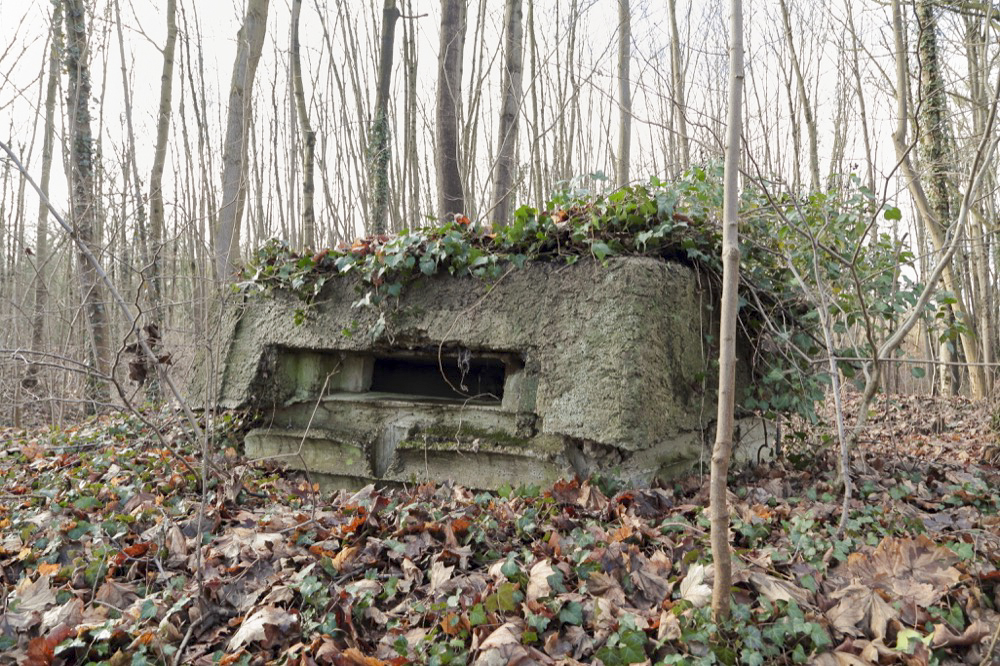 Ligne Maginot - NEUF-EMPERT 3 - (Observatoire d'infanterie) - Façade frontale - Les Gardiens du Rhin